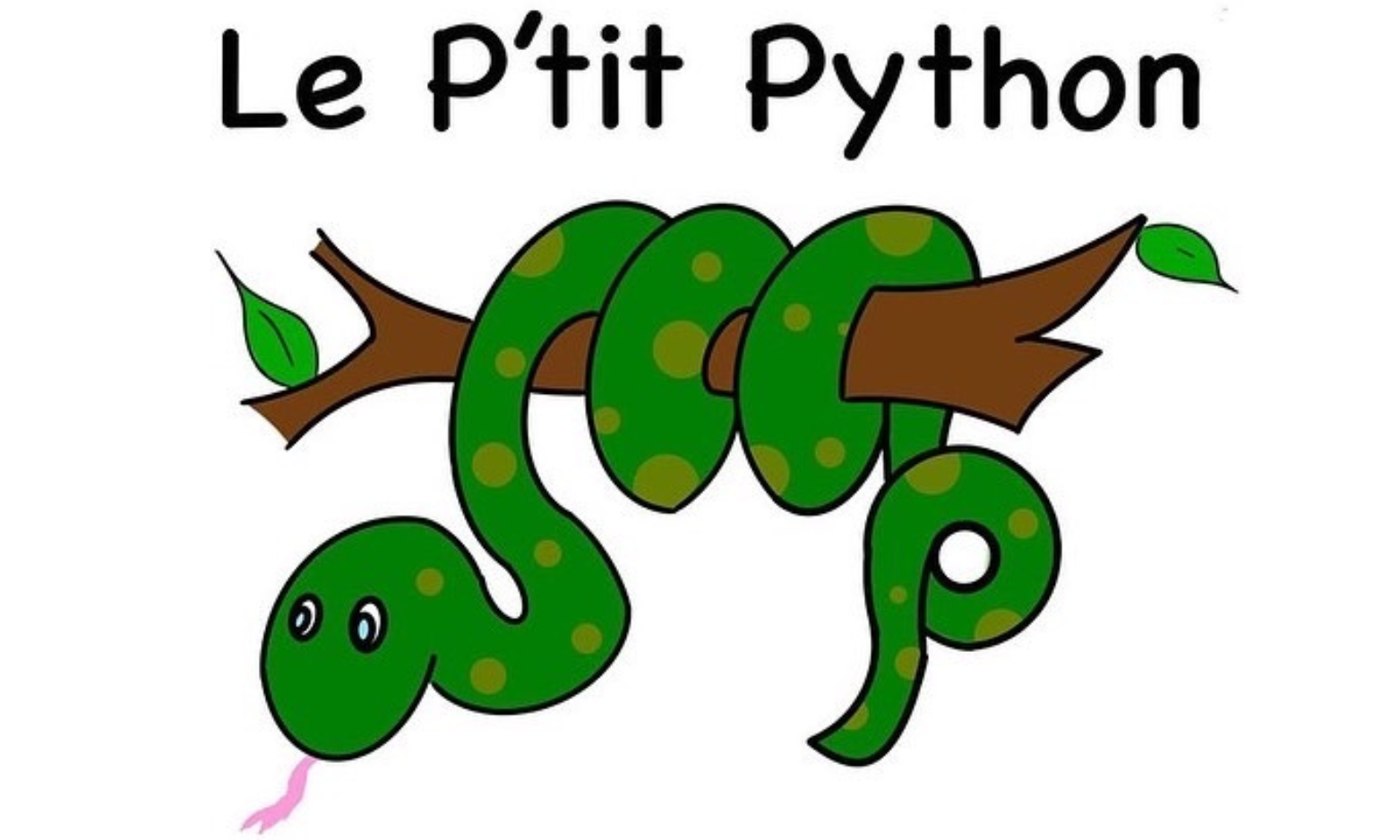 Le P'tit Python Le P'tit Python